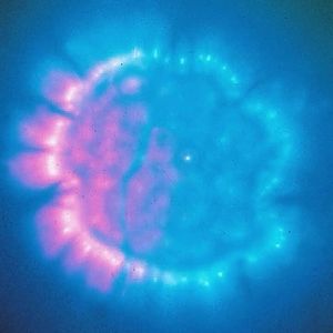 Meet your Posher, Magdalena